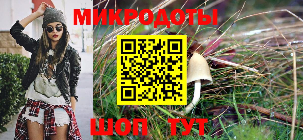 Псилоцибиновые грибы прущие грибы Альметьевск